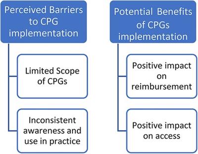 Implementing functional electrical stimulation clinical practice guidelines to support mobility: A stakeholder consultation